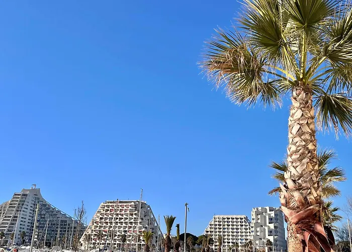 Beau P2 En Centre De La Grande-motte, Proche - Fr-1-716-72 Appartement *